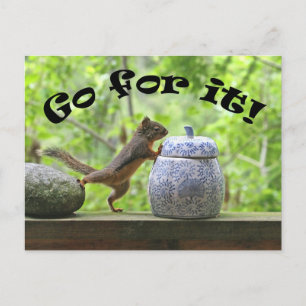 Funny Squirrel Picture ~ Go For It! Postcard