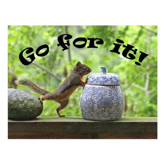 Funny Squirrel Picture ~ Go For It! Postcard