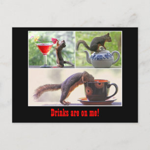 Funny Squirrel Postcard
