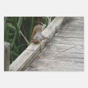 Funny Squirrel Wrapping Paper Sheet