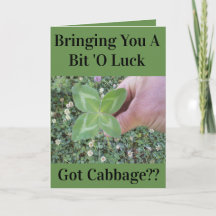 FUNNY ST PATRICK'S DAY CARD