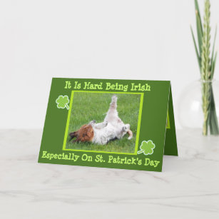 Funny St. Patrick's Day Card w/Basset & Green Beer