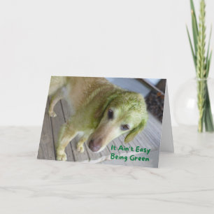 Funny St. Patricks Green Golden Retriever Card