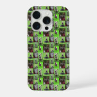 Funny Staffordshire Bull Terrier Photo Collage,