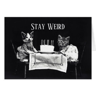 Funny stay weird vintage birthday kittens cat
