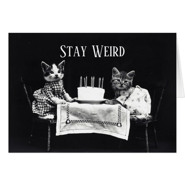 Funny stay weird vintage birthday kittens cat (Front Horizontal)