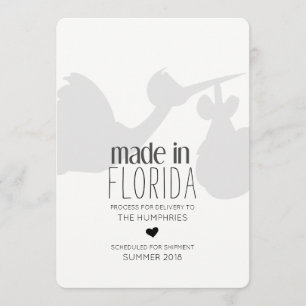 Funny Stork Delivery Pregnancy Announcement