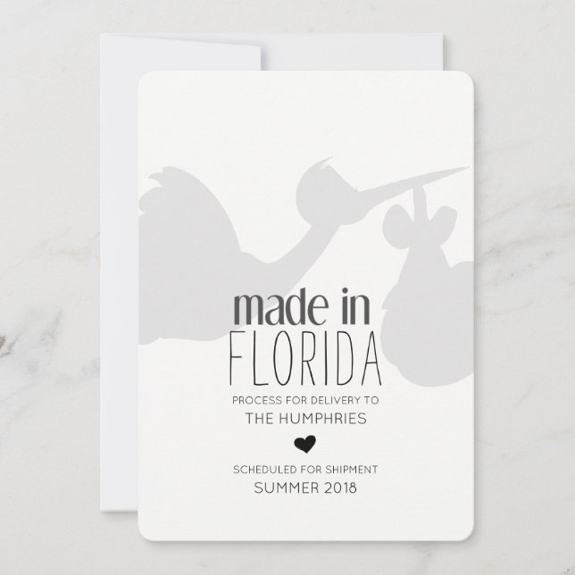 Funny Stork Delivery Pregnancy Announcement (Front)