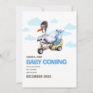 Funny Stork Girl Simple Cute Modern Pregnancy Anno Announcement