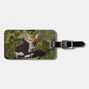 Funny Stylish Dressed Chihuahua Puppy Luggage Tag