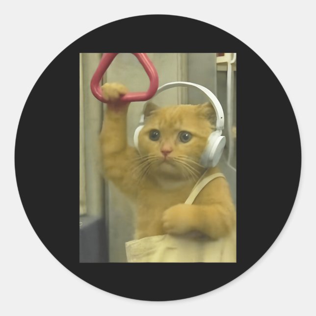 Funny Subway Cat Meme Stud Brainrot Cats Humor Kit Classic Round Sticker (Front)