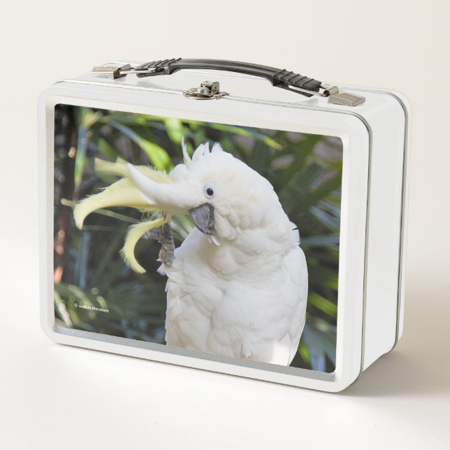 Funny Sulphur-Crested Cockatoo Parrot Bird Waves Metal Lunch Box (Front)