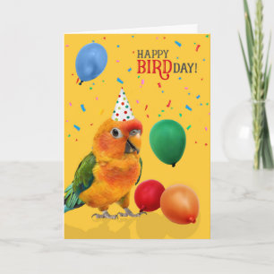Funny Sun Conure Parrot Birthday Card