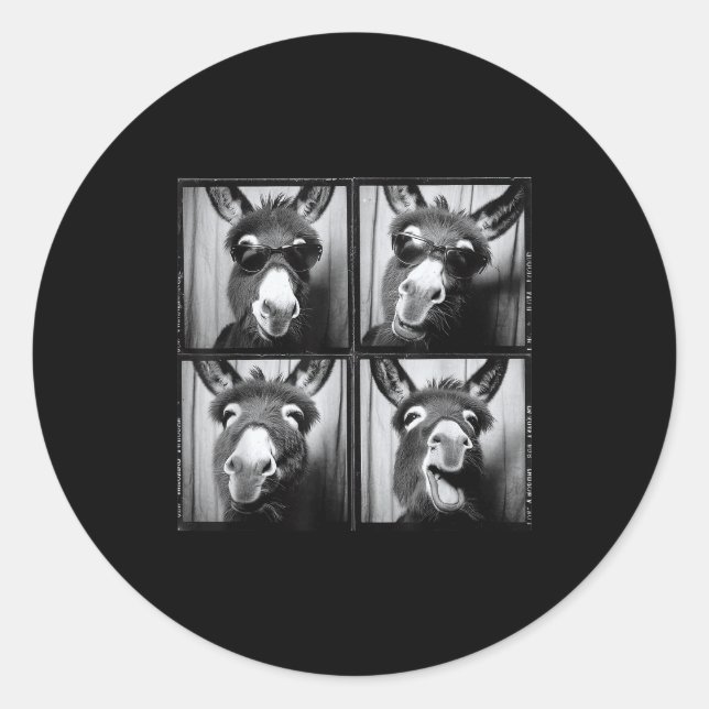 Funny Sungles  Classic Round Sticker (Front)