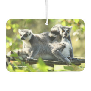 Funny Surprised Lemurs of Madagascar Car Air Freshener