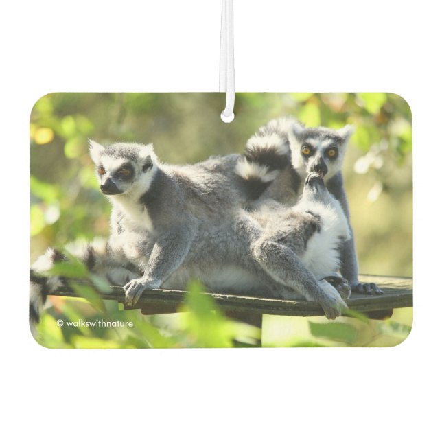 Funny Surprised Lemurs of Madagascar Car Air Freshener (Front)