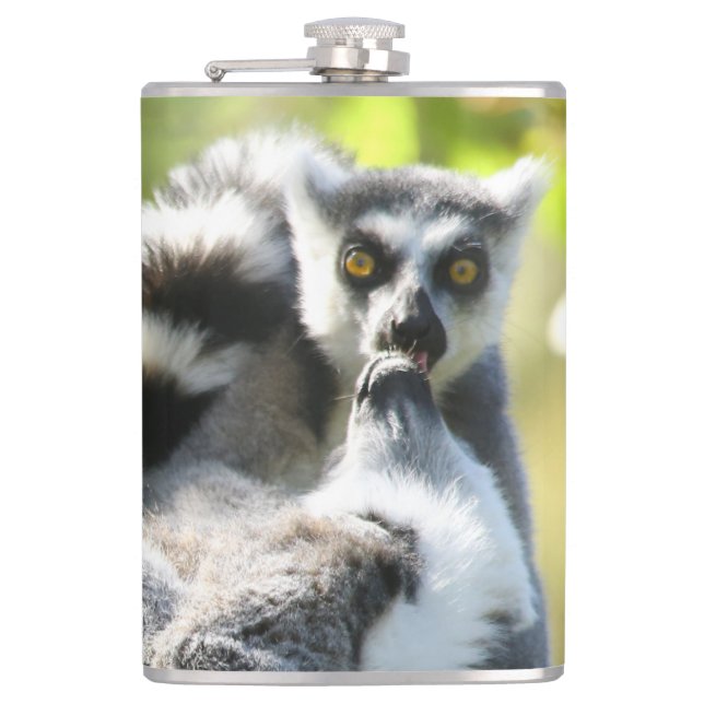 Funny Surprised Lemurs of Madagascar Hip Flask (Front)