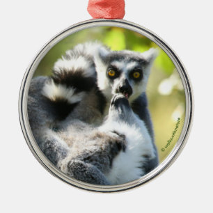 Funny Surprised Lemurs of Madagascar Metal Tree Decoration