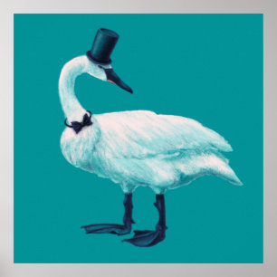 Funny Swan Birdwatching Poster