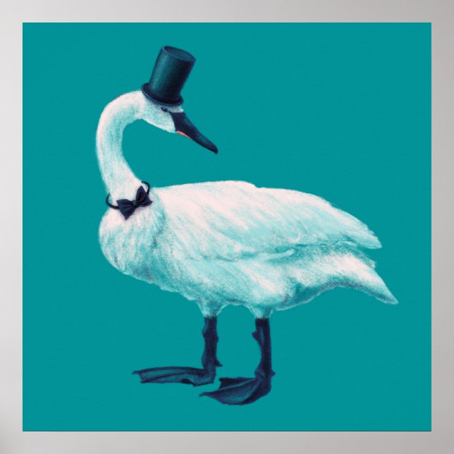 Funny Swan Birdwatching Poster (Front)