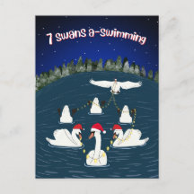 Funny Swans Swimming 12 Days of Christmas