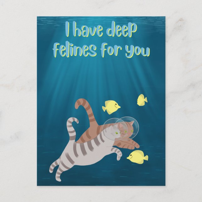 Funny Swimming Cats Ocean Valentines Day Holiday Postcard (Front)
