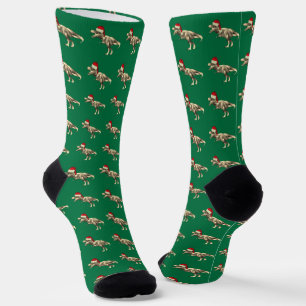 Funny T-Rex Santa Dinosaur Green Christmas Socks