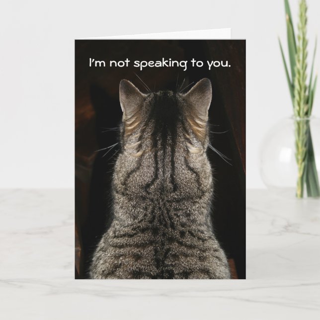 Funny Tabby Cat Birthday Card (Front)