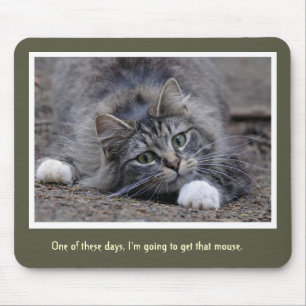 Funny Tabby Cat Going to get that Mouse Pad