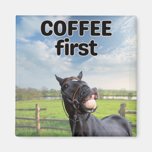 Funny Talking Horse Humour Magnet (Front)