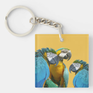 Funny Talking Parrots Cust. Text + Color Keychain