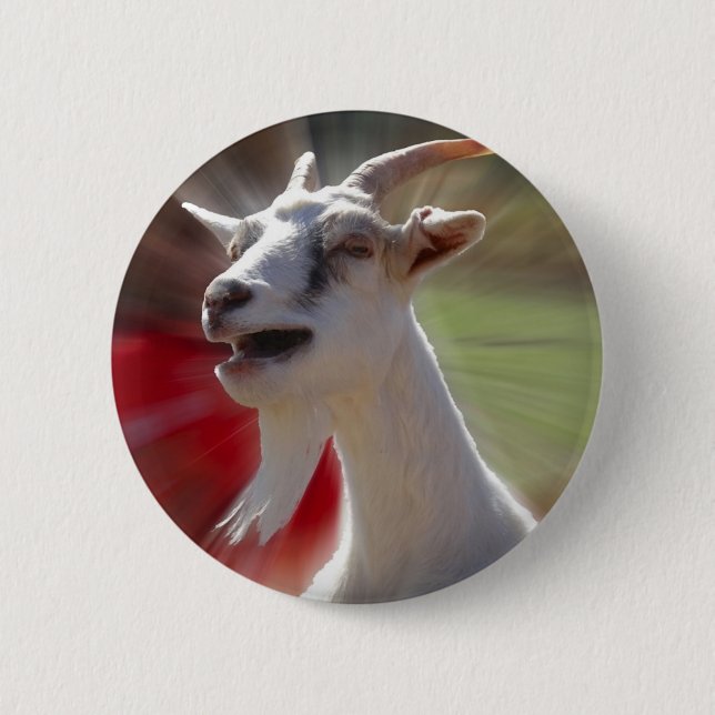 Funny Tallking Goat Photograph 6 Cm Round Badge (Front)