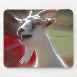 Funny Tallking Goat Photograph Mouse Mat