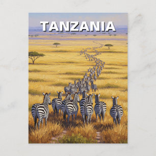 Funny Tanzania Serengeti National Park Zebra Postcard