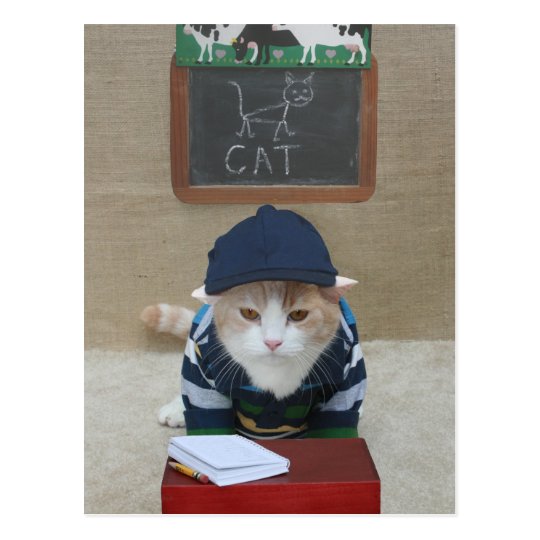 Funny Teacher to Parent Postcard