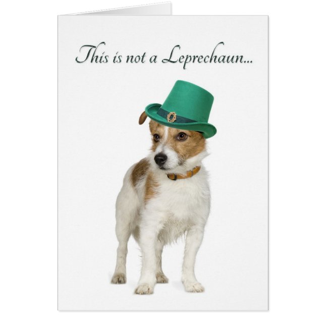 Funny Terrier Leprechaun Card (Front)