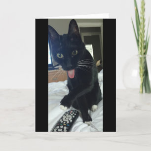funny Thank You card cat hides remote