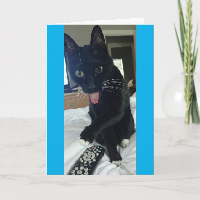 funny Thank You card cat hides remote Mother's Da (Front)