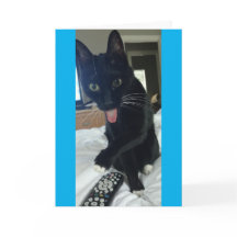 funny Thank You card cat hides remote Mother's Da