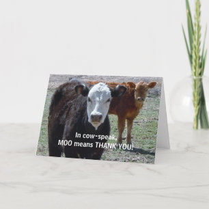 Funny Thank You - Cow Animal Humour - Ranch Card