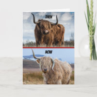 Funny Then And Now Hell-Raising Bull Birthday