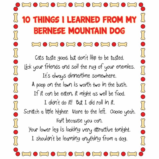 Funny Things I Learned From Bernese Mountain Dog Standing Photo Sculpture (Front)