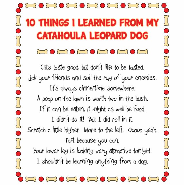 Funny Things I Learned From Catahoula Leopard Dog Standing Photo Sculpture (Front)