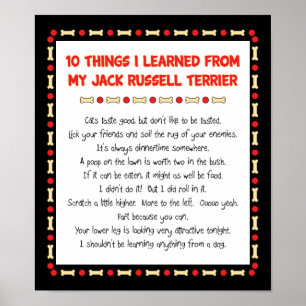 Funny Things I Learned From Jack Russell Terrier Poster