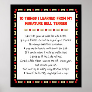 Funny Things I Learned From Miniature Bull Terrier Poster