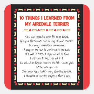 Funny Things I Learned From My Airedale Terrier Square Sticker