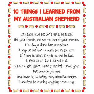 Funny Things I Learned From My Australian Shepherd Standing Photo Sculpture