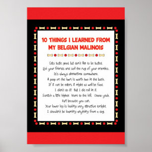 Funny Things I Learned From My Belgian Malinois Poster