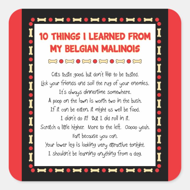 Funny Things I Learned From My Belgian Malinois Square Sticker (Front)