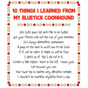 Funny Things I Learned From My Bluetick Coonhound Standing Photo Sculpture